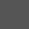ipsum_x